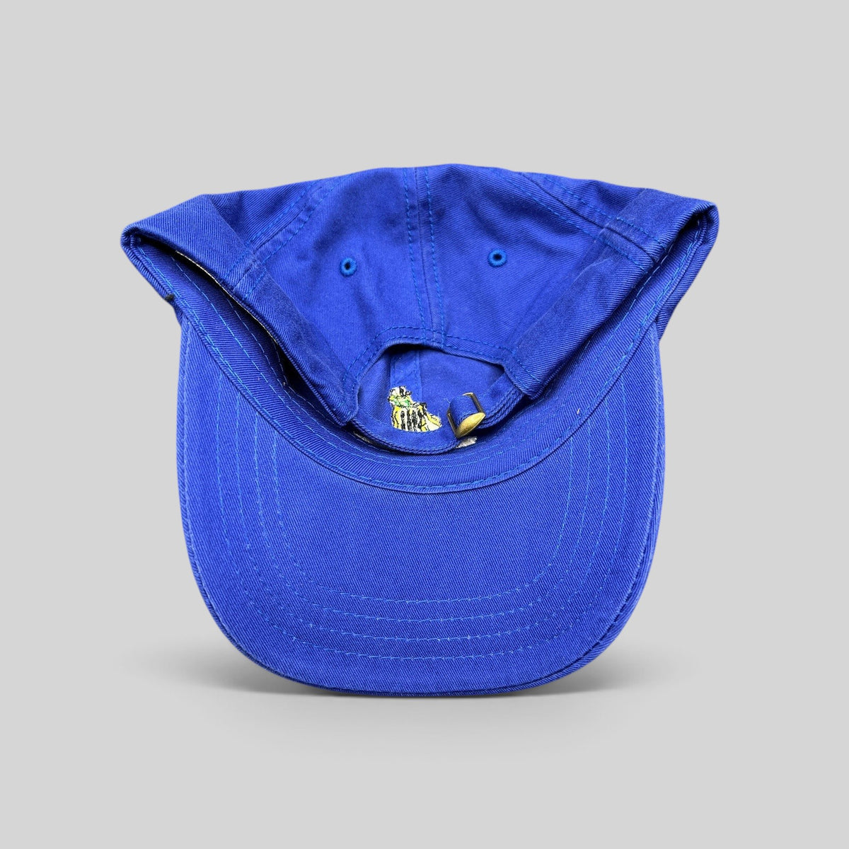 Raree Finds vintage royal blue American Dry Goods Trashmasters Aspen golf hat with adjustable brass buckle strapback