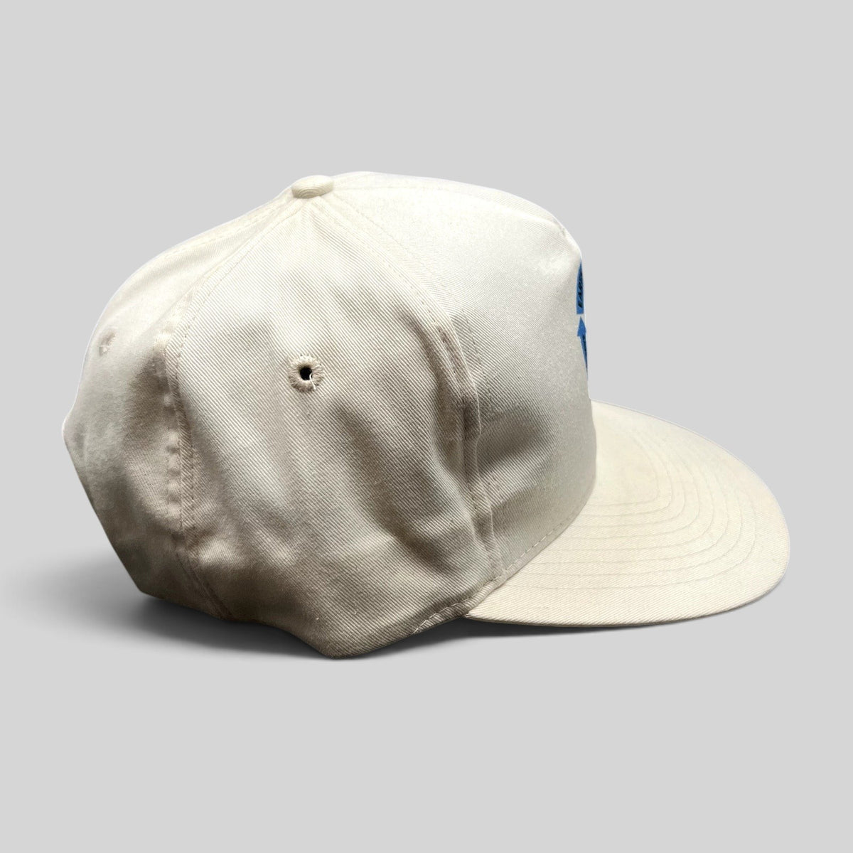 Raree Finds vintage Y2K Earth Day 2000 white snapback hat with Save The Environment graphic and adjustable closure