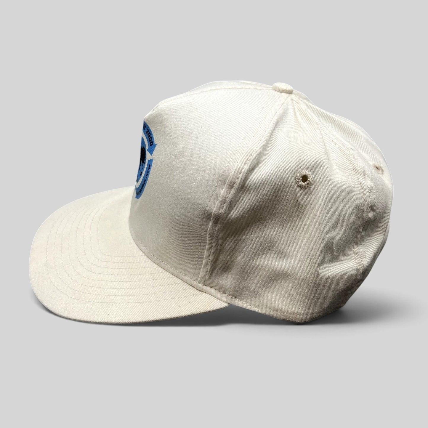 Raree Finds vintage Y2K Earth Day 2000 white snapback hat with Save The Environment globe graphic and side profile view.