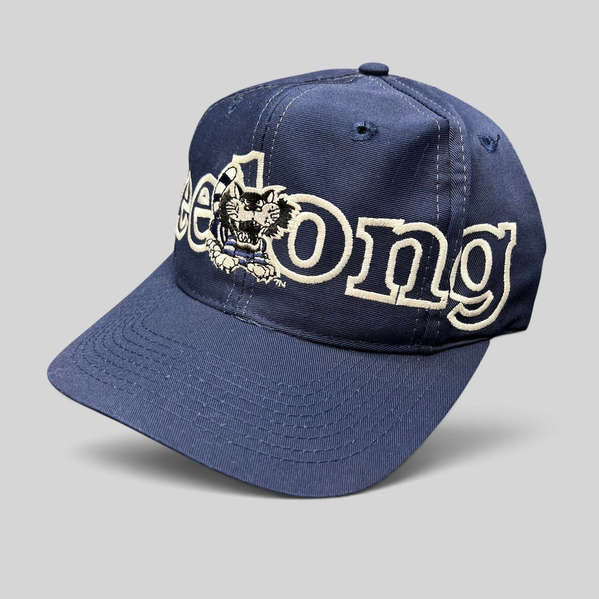 Raree Finds vintage navy Geelong AFL snapback hat with white spellout embroidery and team mascot on the front panel.