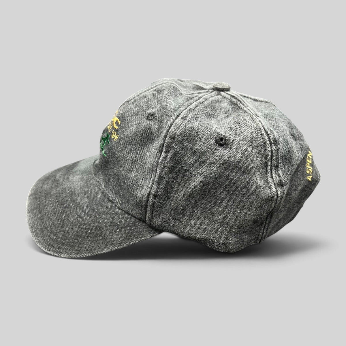 Raree Finds vintage 1998 AVSC Golf Classic Cobra strapback hat in washed black cotton with embroidered side detail