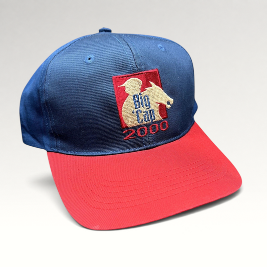 Raree Finds vintage Y2K Big Cap navy and red snapback hat with embroidered horse racing graphic and 2000 text