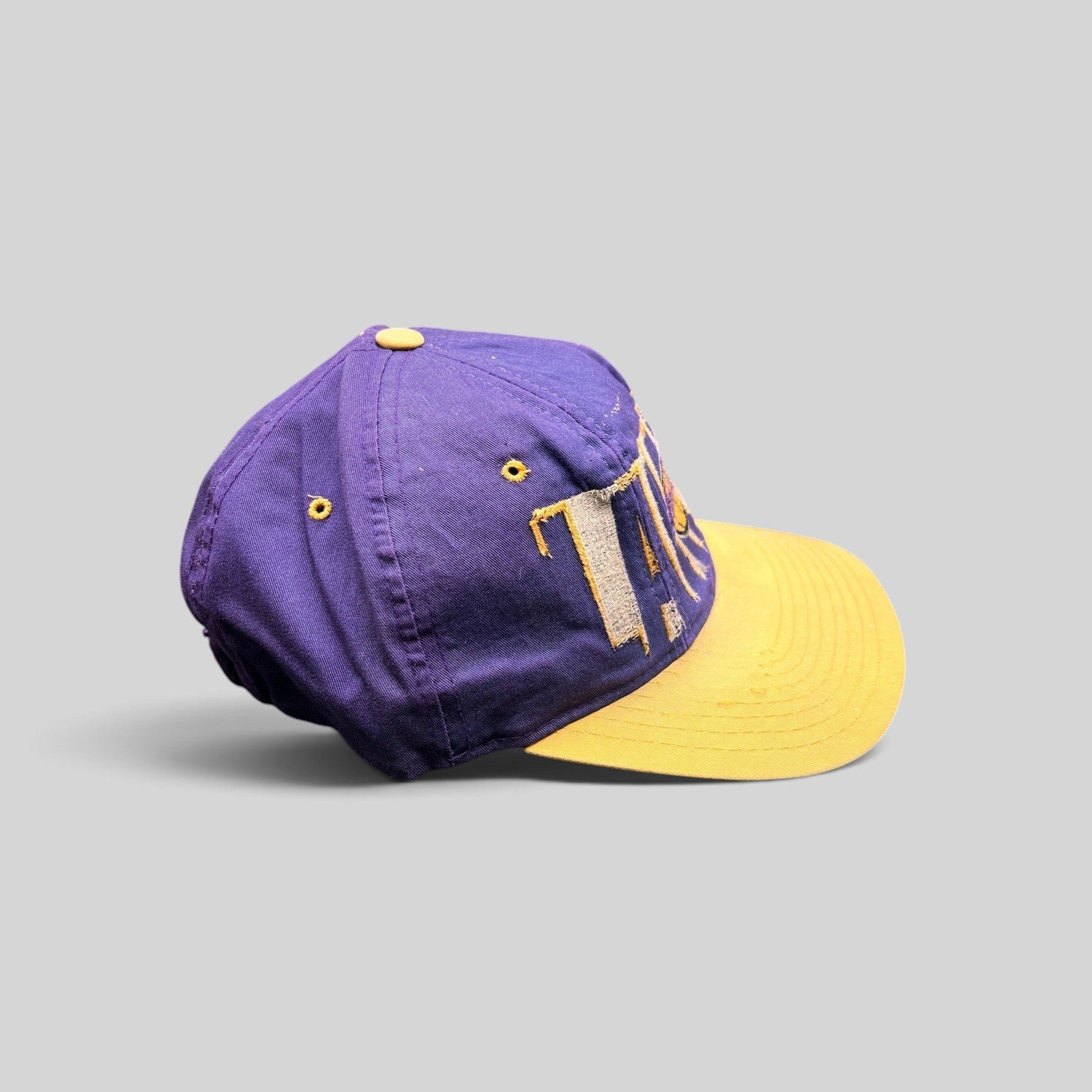 Raree Finds vintage 90s LA Lakers Starter snapback hat in purple and gold with raised embroidery and lived-in patina.