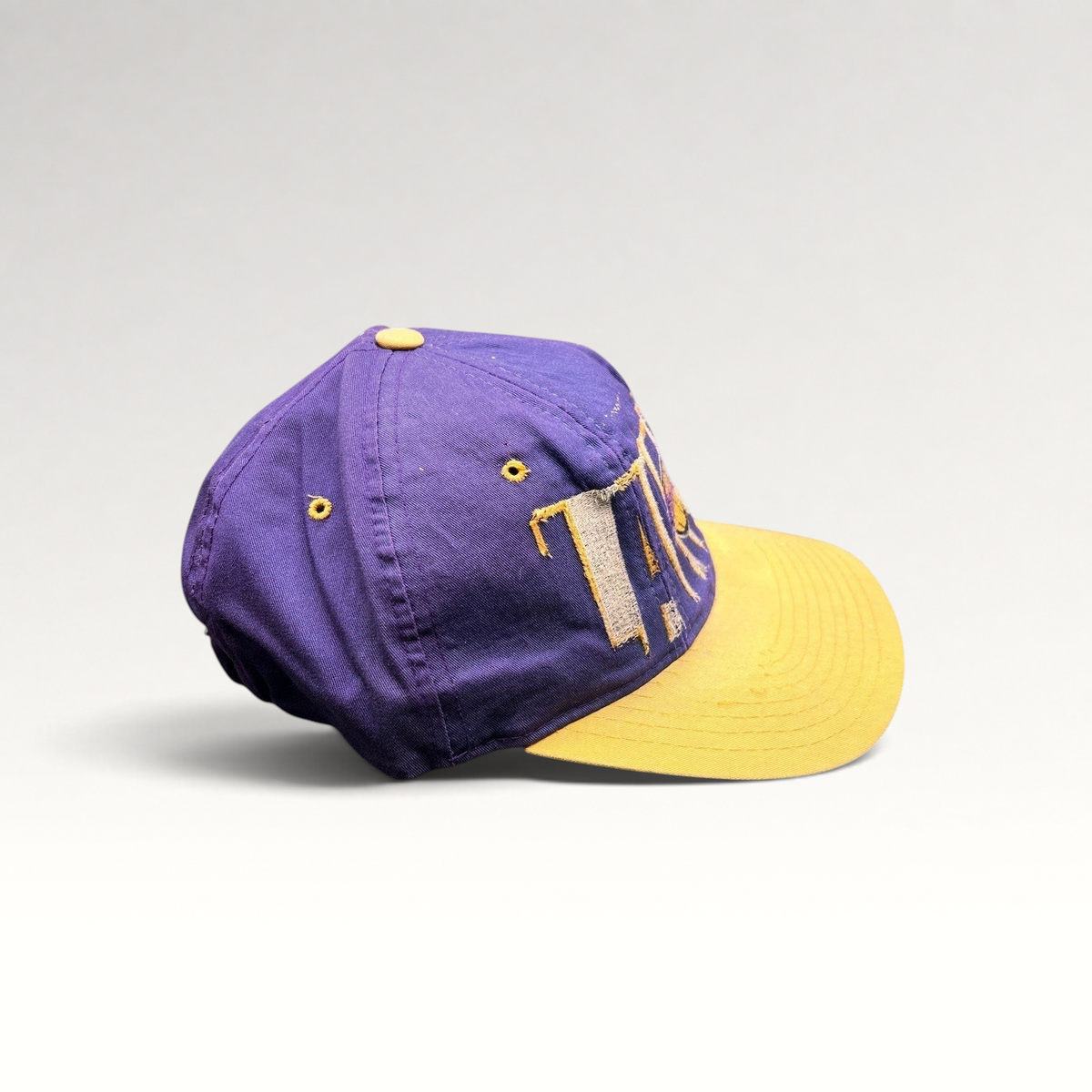 Raree Finds vintage 90s LA Lakers Starter snapback hat in purple and gold with raised embroidery and lived-in patina.