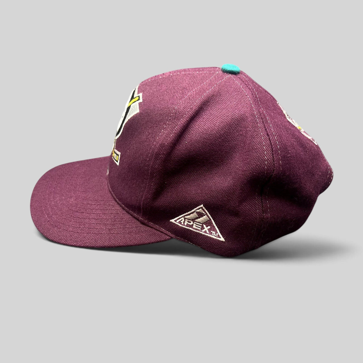 Raree Finds vintage Anaheim Mighty Ducks Apex One snapback hat in purple with side embroidered logo detail