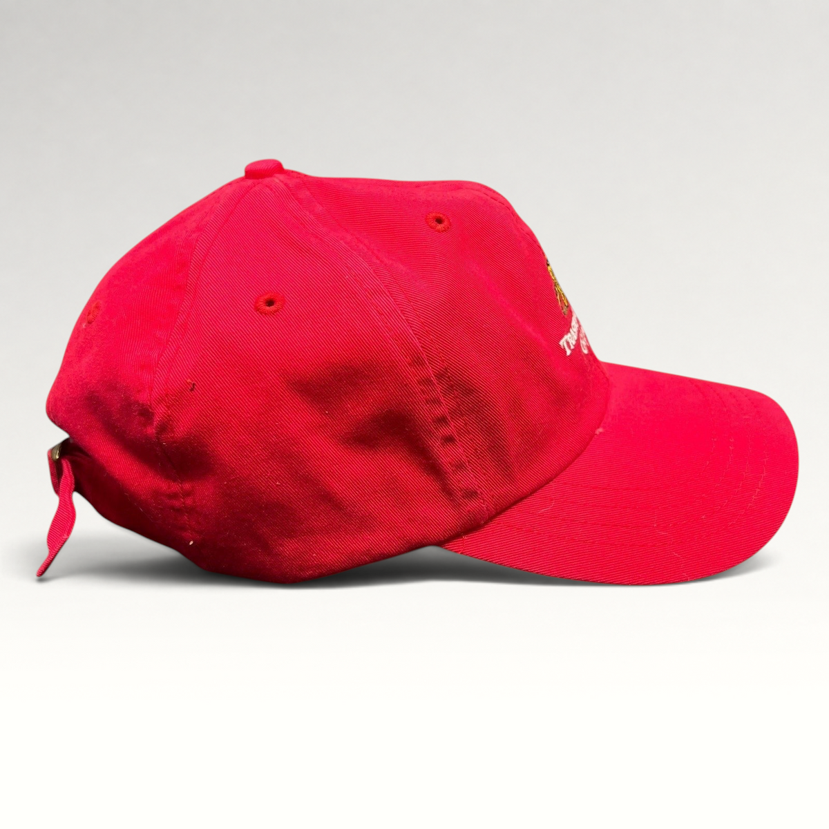Raree Finds vintage red cotton strapback dad cap with Trashmasters Aspen embroidered mascot graphic and brass buckle.