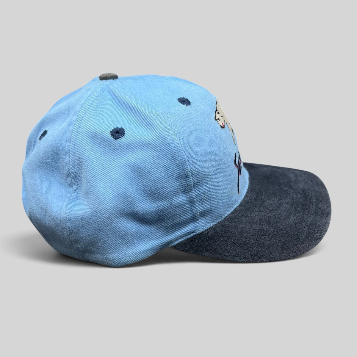 Raree Finds vintage SeaWorld snapback hat with light blue crown, navy brim, and polar bear embroidery side view