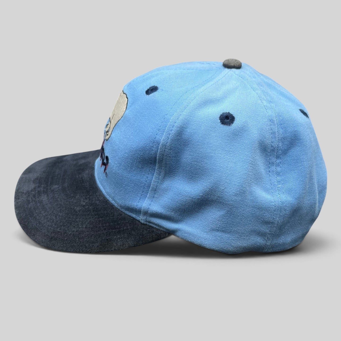 Raree Finds vintage SeaWorld snapback hat with light blue crown, navy brim, and polar bear embroidery