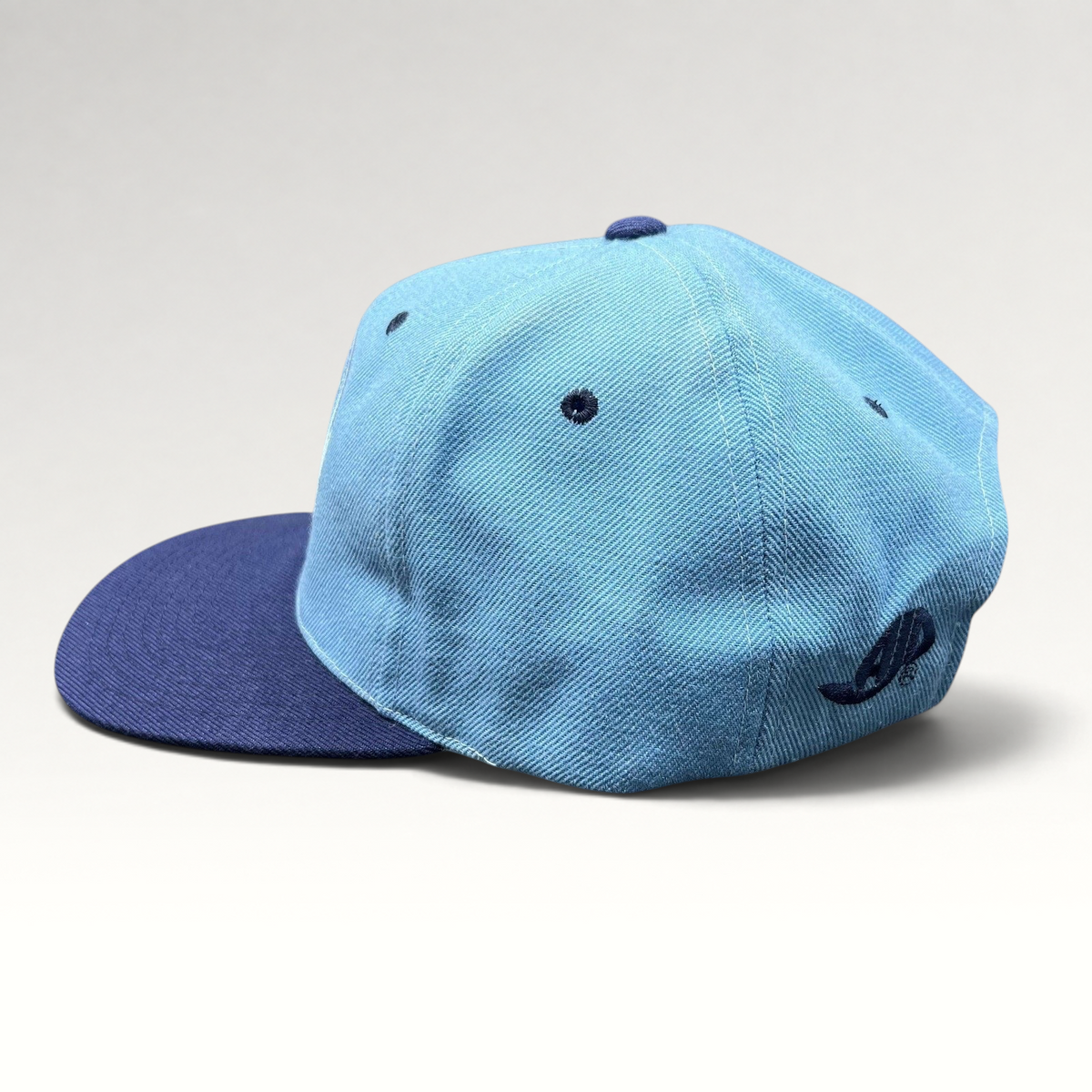 Raree Finds vintage 90s AJD UCLA Bruins snapback hat in light blue and navy with side logo embroidery