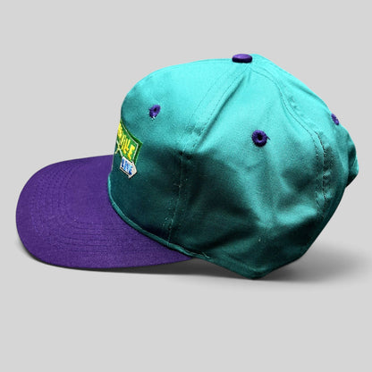 Raree Finds vintage 90s Nickelodeon Weinerville snapback hat in teal and purple with embroidered street sign logo