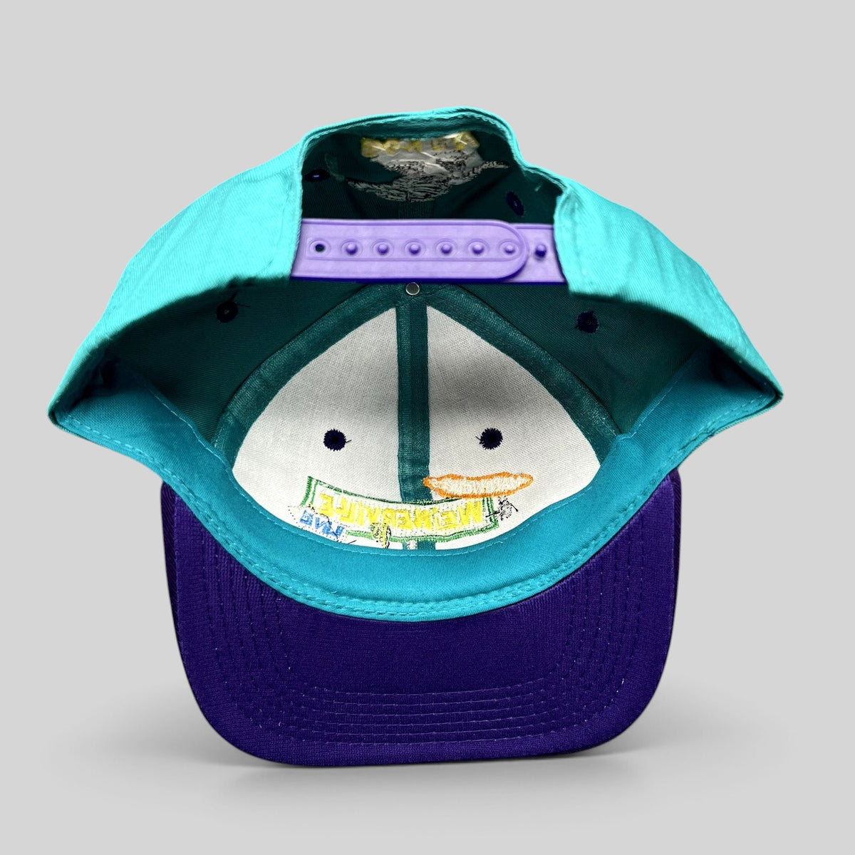 Raree Finds vintage 90s Weinerville snapback hat in teal and purple with Boney character embroidery on the interior