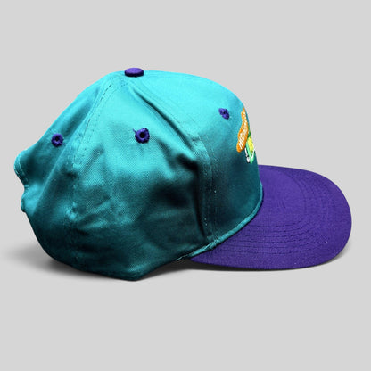 Raree Finds vintage 90s Weinerville snapback hat in teal and purple with embroidered logo and structured crown