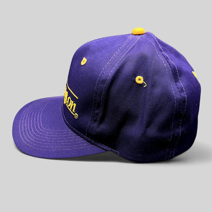 Raree Finds vintage Washington Huskies purple and gold snapback hat with embroidered script logo and structured crown.