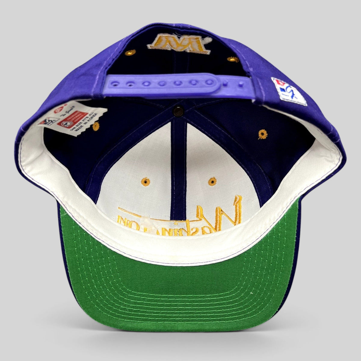 Raree Finds vintage Washington Huskies snapback hat in purple with gold embroidery and a classic green undervisor.