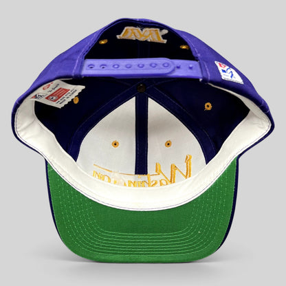 Raree Finds vintage Washington Huskies snapback hat in purple with gold embroidery and a classic green undervisor.