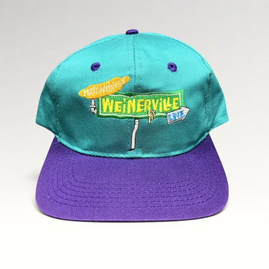 Raree Finds vintage 90s Nickelodeon Weinerville snapback hat in teal and purple with embroidered street sign logo