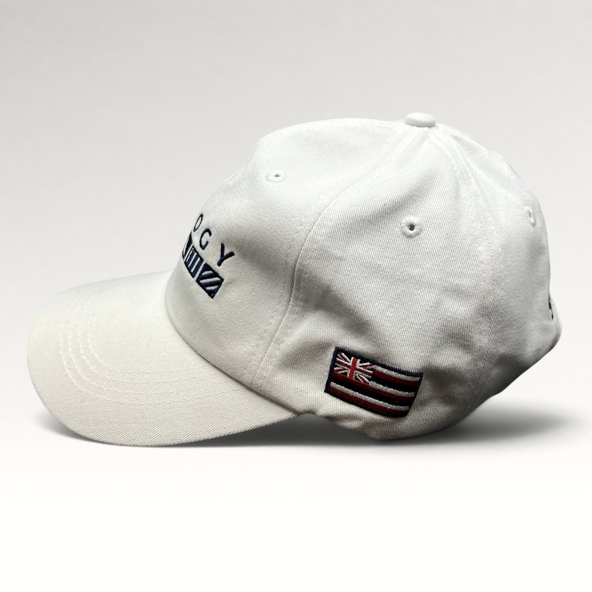 Raree Finds white cotton strapback cap with Trilogy branding and embroidered Hawaii flag on the side