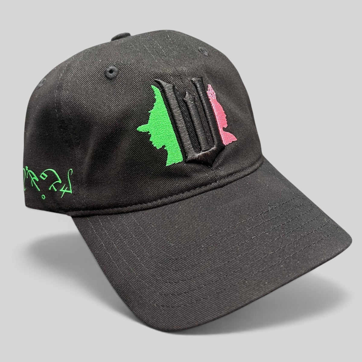 Raree Finds Wicked Broadway musical black cotton snapback hat with green and pink character embroidery and W emblem.