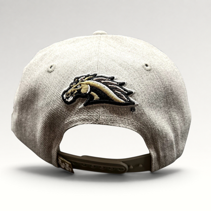Raree Finds heather gray W Republic snapback hat featuring a Western Michigan University Broncos logo on the back